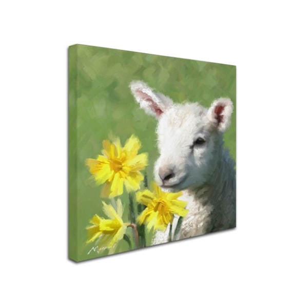 The Macneil Studio 'Easter Lamb' Canvas Art,35x35